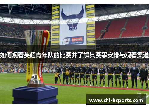 如何观看英超青年队的比赛并了解其赛事安排与观看渠道