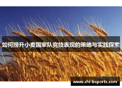 如何提升小麦国家队竞技表现的策略与实践探索