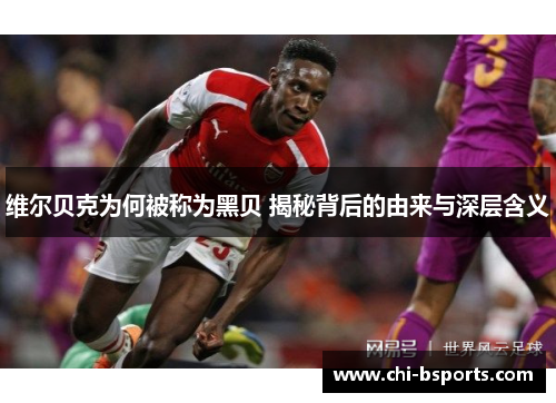 维尔贝克为何被称为黑贝 揭秘背后的由来与深层含义 维尔贝克为何被称为黑贝 揭秘背后的由来与深层含义