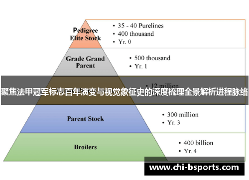 聚焦法甲冠军标志百年演变与视觉象征史的深度梳理全景解析进程脉络