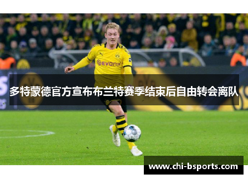 多特蒙德官方宣布布兰特赛季结束后自由转会离队 多特蒙德官方宣布布兰特赛季结束后自由转会离队