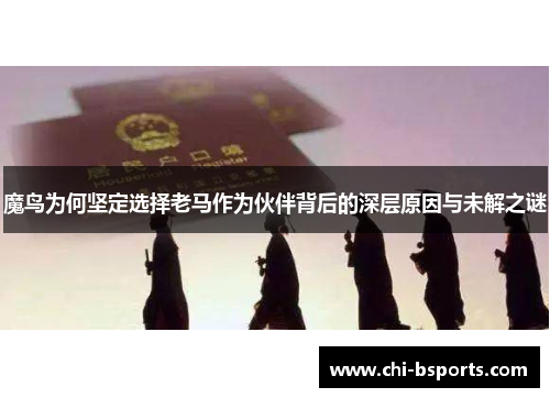 魔鸟为何坚定选择老马作为伙伴背后的深层原因与未解之谜