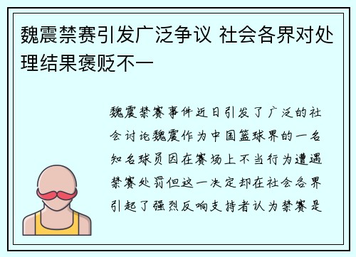 魏震禁赛引发广泛争议 社会各界对处理结果褒贬不一